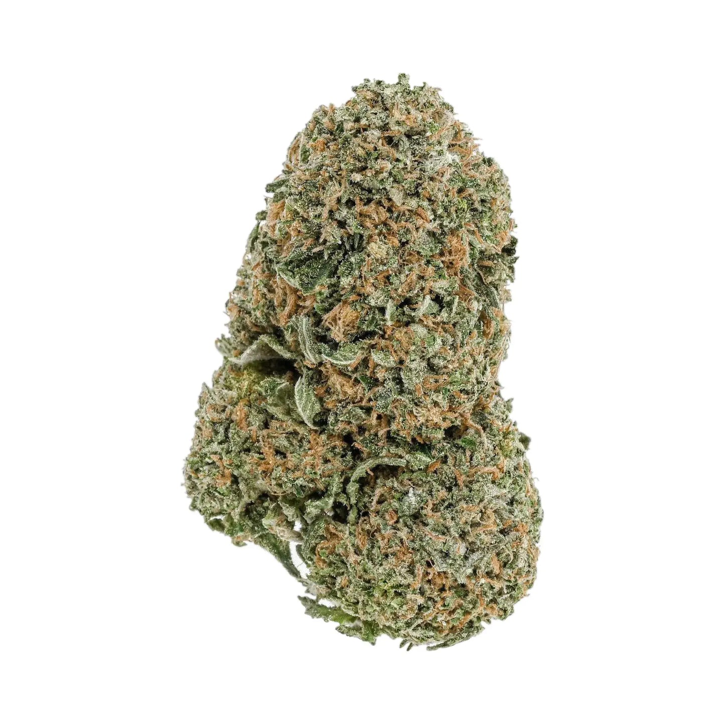 Critical Cheese Premium