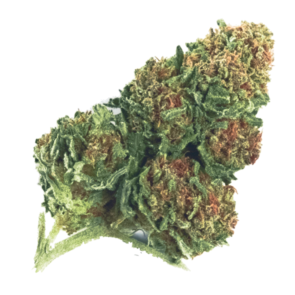 Critical Lemon THCP