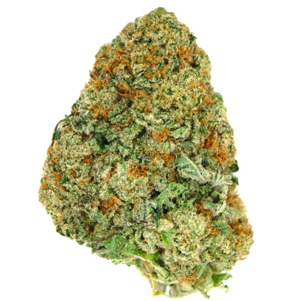 Plutonium