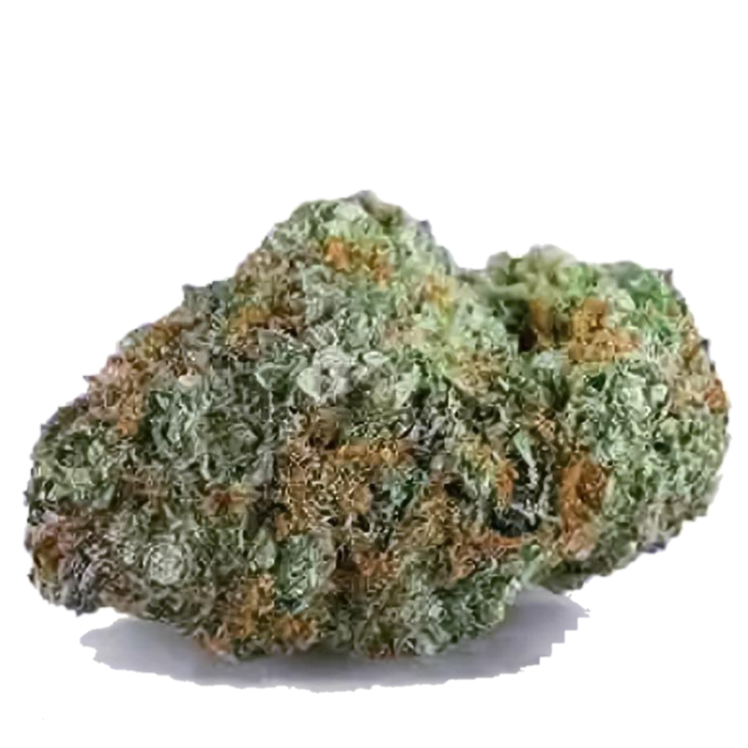 Hindu Kush
