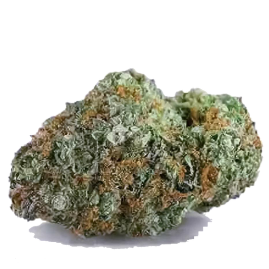 Hindu Kush
