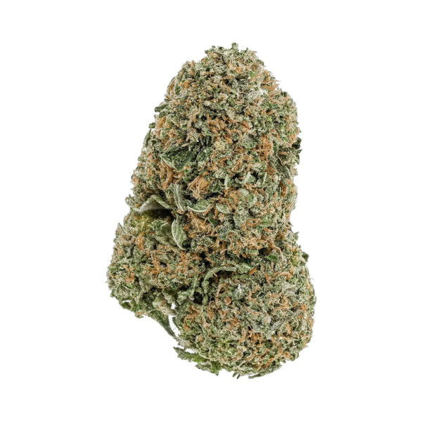 Critical Cheese