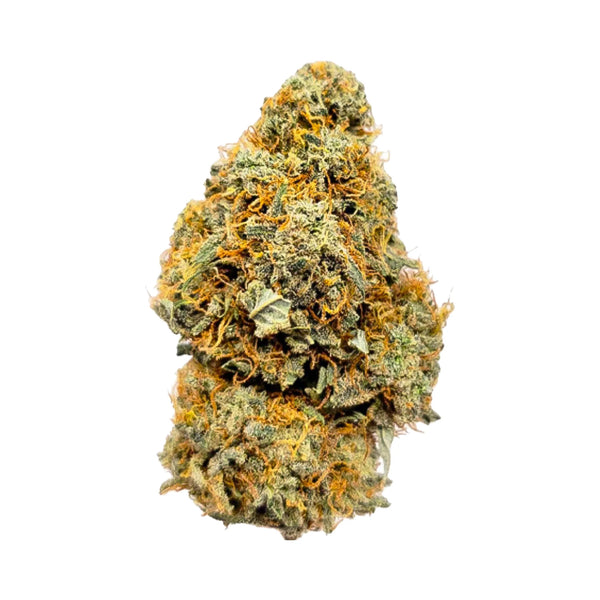 Gelato Ice