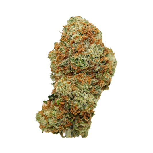Girl Cookies Premium