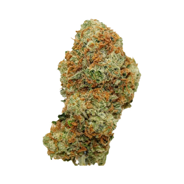 Girl Cookies Premium