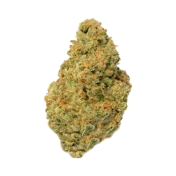 Gorilla Glue Mandarine