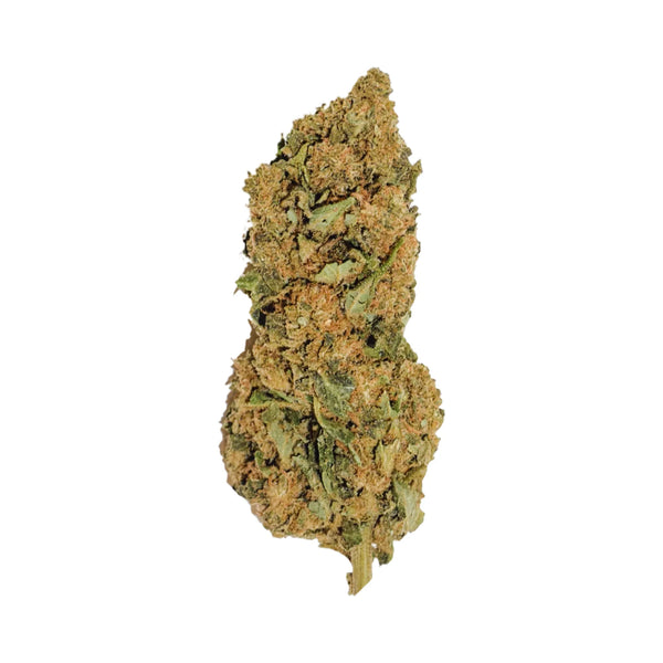Jack Herer