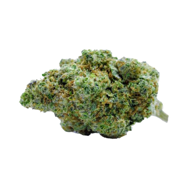 Rocket Haze Hydro